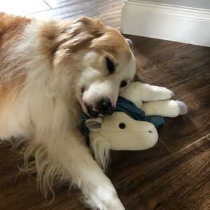 Meet your Posher, Tracy